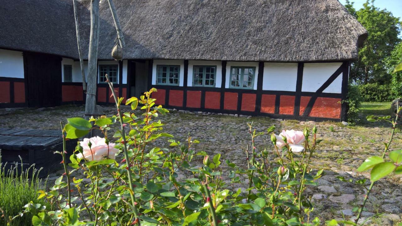 Thurup Hus Assens Exteriör bild