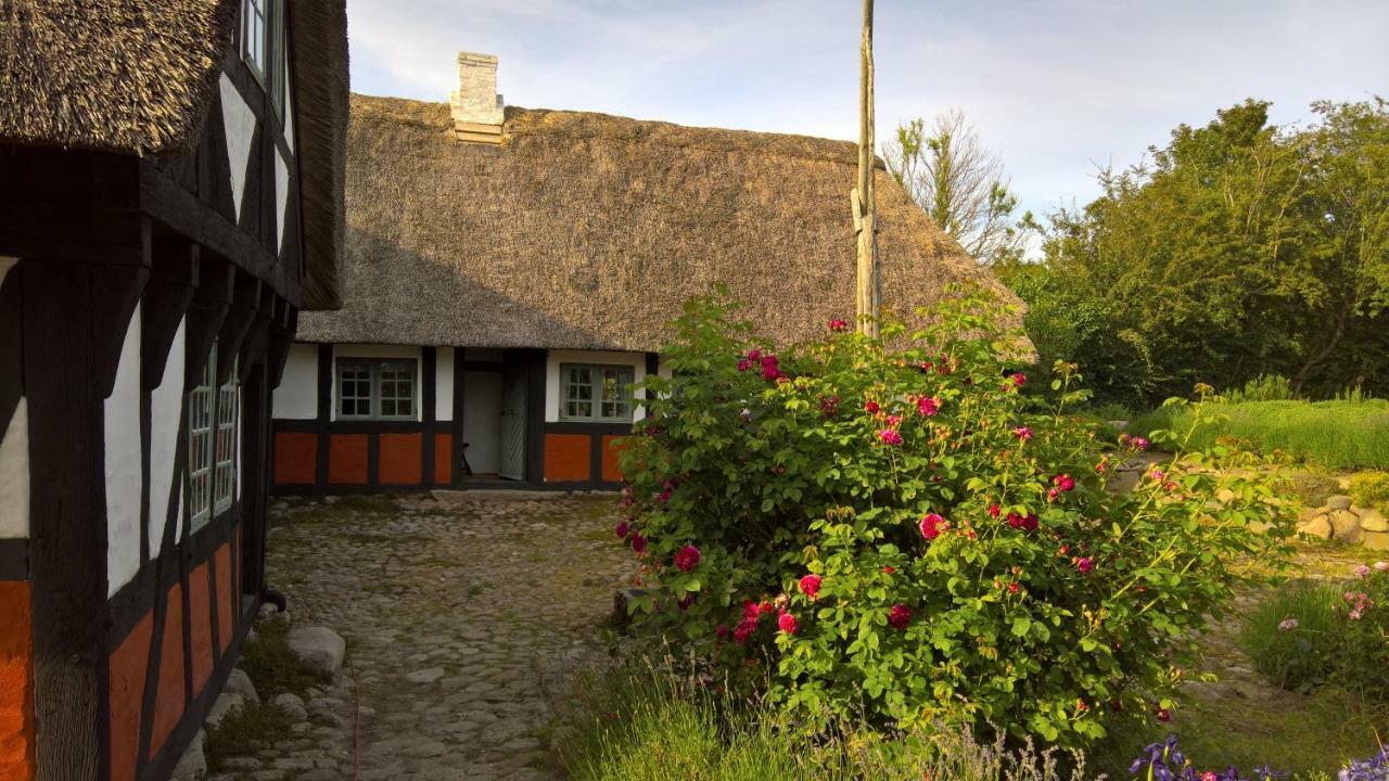 Thurup Hus Assens Exteriör bild