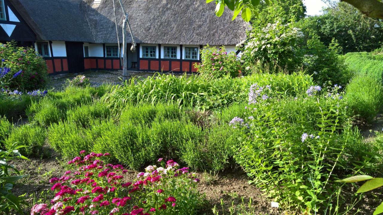 Thurup Hus Assens Exteriör bild